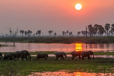 Tanzania Nyerere Roho ya selous family safari