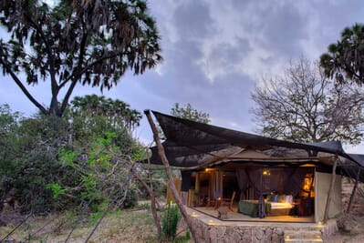 Tanzania Nyerere Roho ya selous family safari