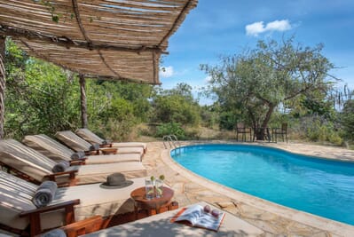 Tanzania Nyerere Roho ya selous family safari