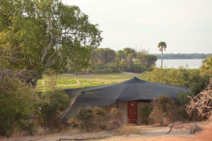 Roho-ya-Selous-Tent-exterior--scaled