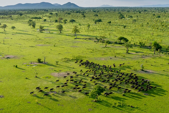 Tanzania Nyerere Roho ya selous family safari