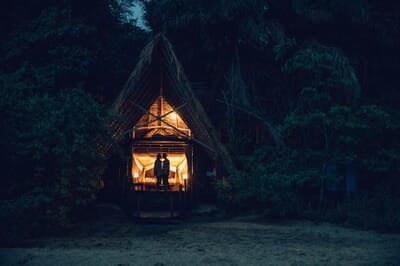 Tanzania Greystoke Mahale family safari