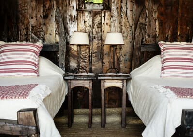 Tanzania Greystoke Mahale family safari