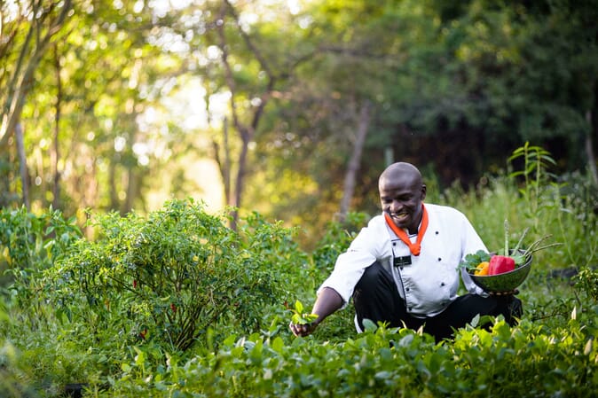 Kenya Masai Mara Sanctuary Olonana family safari