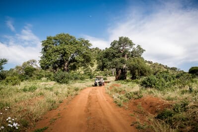 Tanzania Tarangire Sanctuary Swala family safari