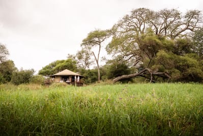 Tanzania Tarangire Sanctuary Swala family safari