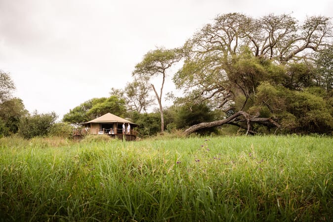 Tanzania Tarangire Sanctuary Swala family safari