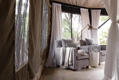 Tanzania Tarangire Sanctuary Swala family safari