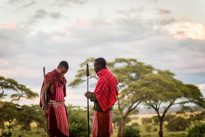 Tanzania Tarangire Sanctuary Swala family safari