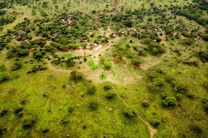 Tanzania Tarangire Sanctuary Swala family safari
