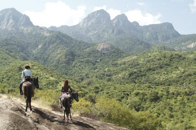 Kenya Laikipia Sarara family safari