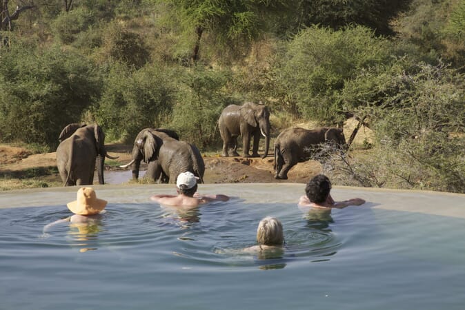 Kenya Laikipia Sarara family safari