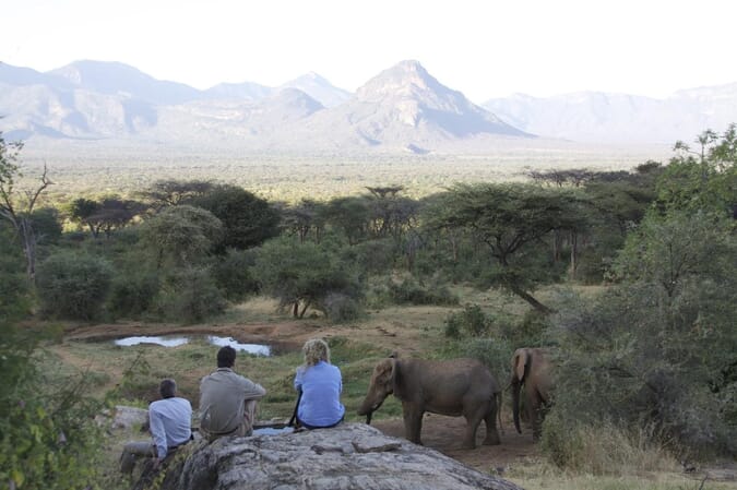 Kenya Laikipia Sarara family safari reteti