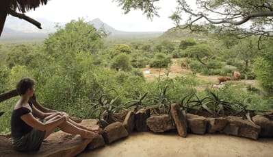 Kenya Laikipia Sarara family safari