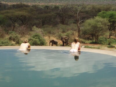 Kenya Laikipia Sarara family safari