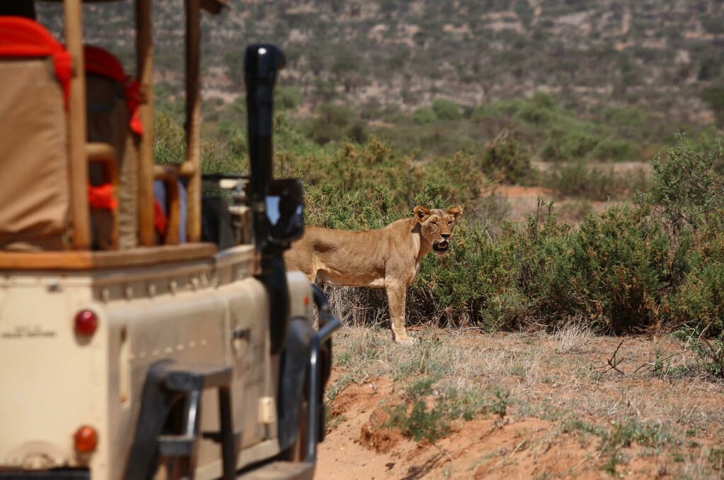 Kenya Saruni Samburu family safari