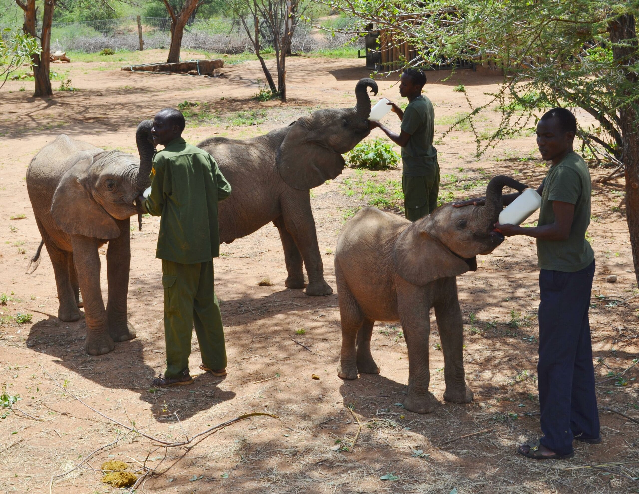 Kenya Saruni Samburu family safari