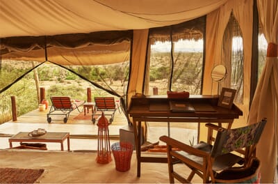 Kenya Samburu Sasaab family safari