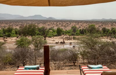 Kenya Samburu Sasaab family safari