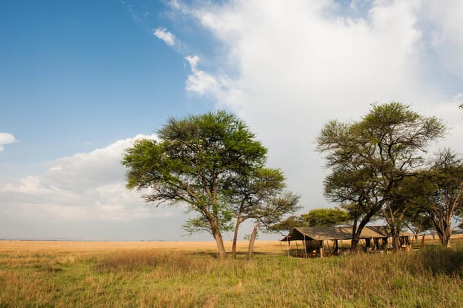 Tanzania Nomad Serengeti safari camp family