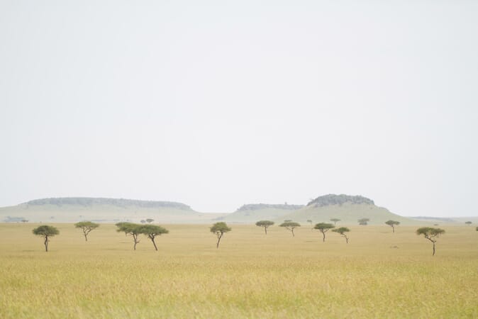 Tanzania Lamai Serengeti family safari