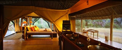 Tanzania Nyerere Siwandu family safari