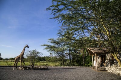 Tanzania Tarangire Manyara Chem Chem family safari
