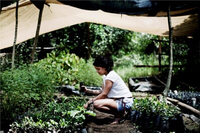 Kenya Masai Mara Karen Blixen Camp family safari