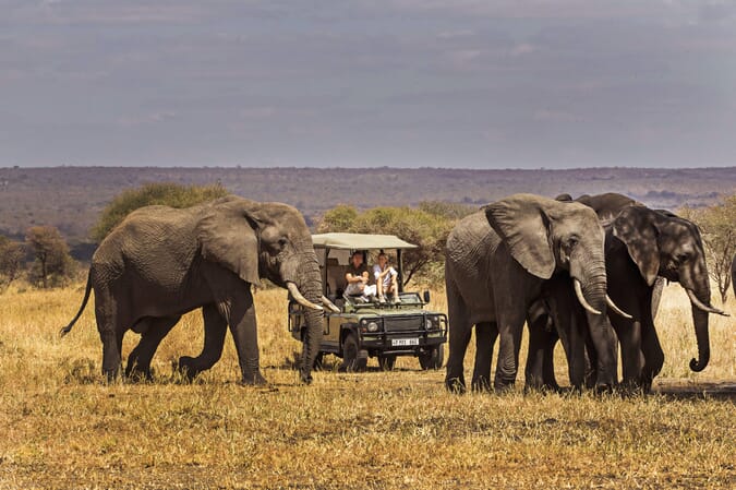 Tanzania Tarangire Manyara Chem Chem family safari