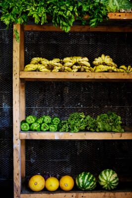 Kenya Masai Mara Karen Blixen Camp family safari