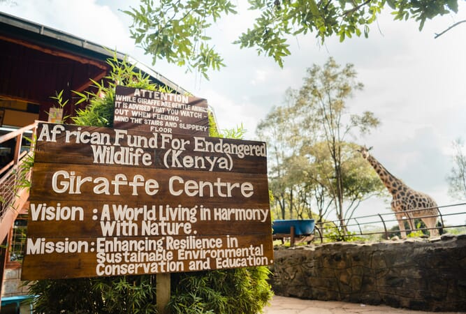 Kenya Nairobi Giraffe Manor family safari