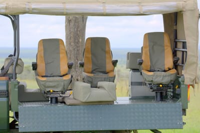 Tanzania Ruaha Jabali Ridge family safari