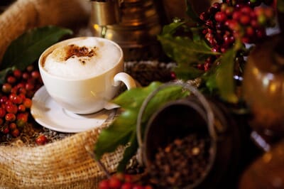 Tanzania Ngorongoro The Manor family safari