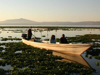 Kenya Lake Naivasha Loldia House family safari