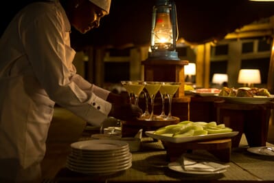 Tanzania Serengeti Kubu Kubu family safari