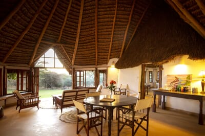 Kenya Lewa Wilderness family safari