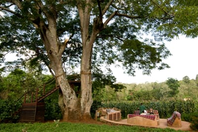 Tanzania Ngorongoro Gibb's Farm family safari