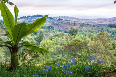 Tanzania Ngorongoro Gibb's Farm family safari