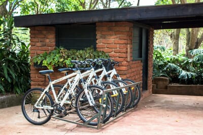 Tanzania Ngorongoro Gibb's Farm family safari