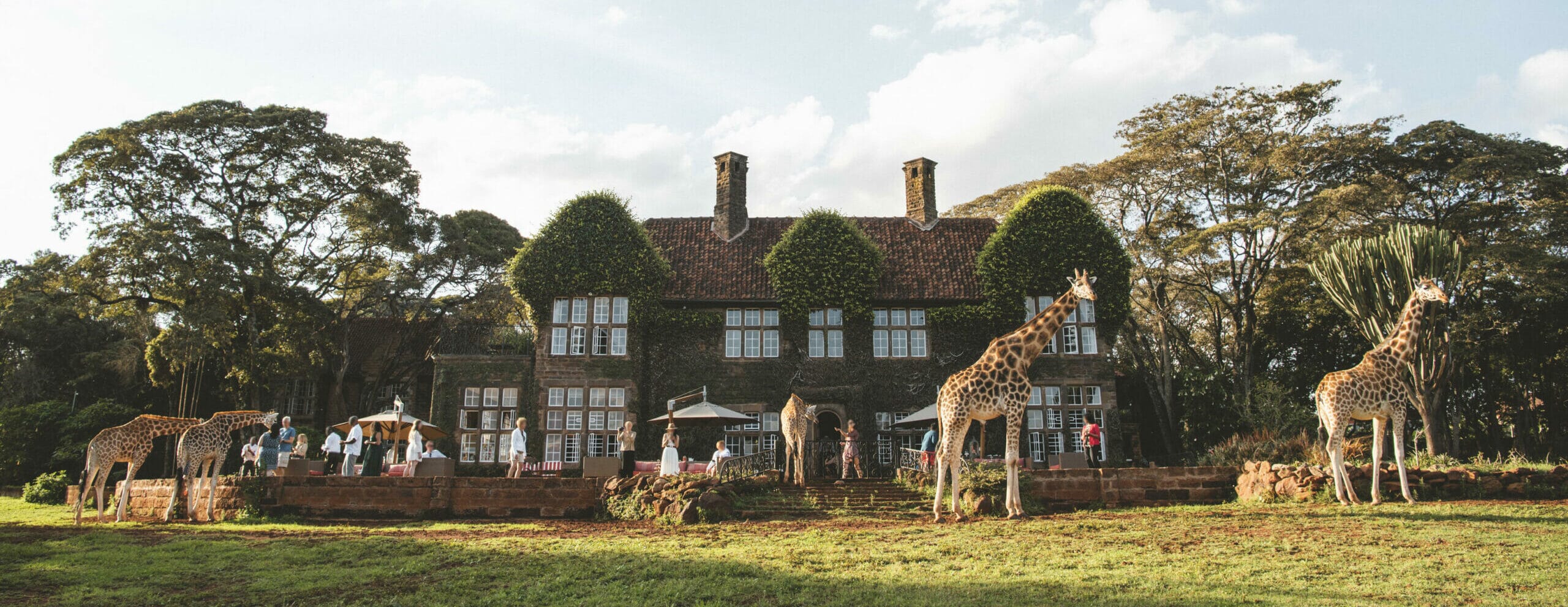 giraffe_manor_-_afternoon_tea1-scaled-e1612778937888