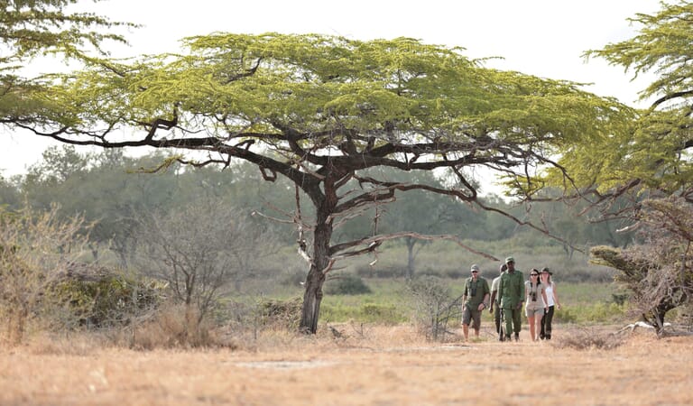 Tanzania Nyerere Roho ya selous family safari