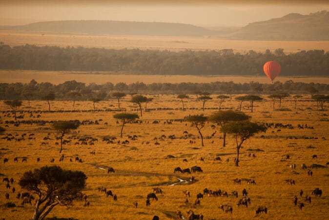 Kenya Masai Mara Sanctuary Olonana family safari