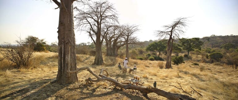 Tanzania Ruaha Ikuka family safari