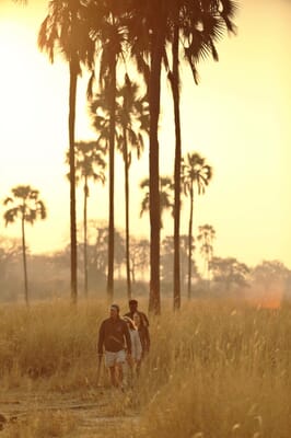Tanzania Ruaha Ikuka family safari
