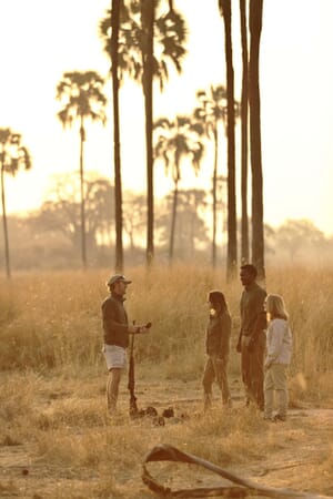 Tanzania Ruaha Ikuka family safari