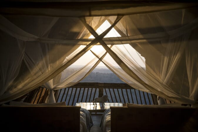 Tanzania Ruaha Ikuka family safari