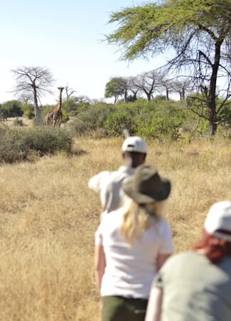 Tanzania Ruaha Jabali Ridge family safari