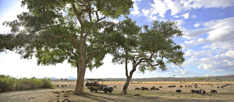 Tanzania Ruaha Jabali house family safari