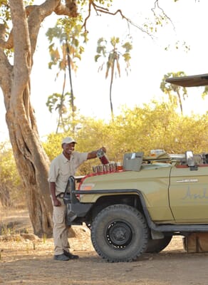 Tanzania Ruaha Jabali house family safari
