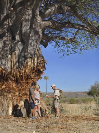 Tanzania Ruaha Jabali Ridge family safari